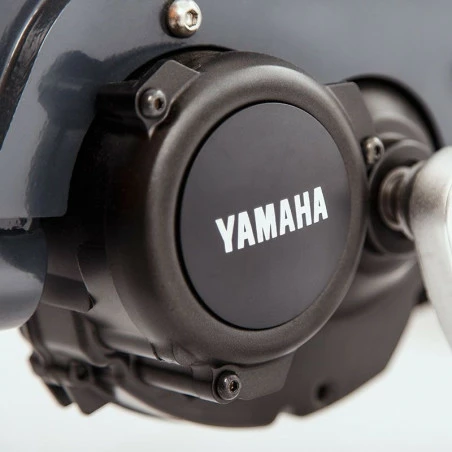 Babboe Curve Mountain 7 Babboe Curve Mountain – Image 5