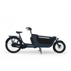 Vélo Cargo Electrique WINORA F.U.B 2W